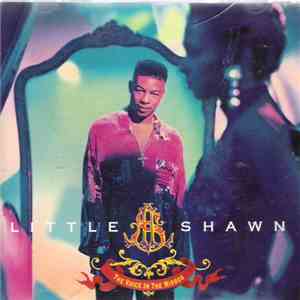 Little Shawn - The Voice In The Mirror mp3 album