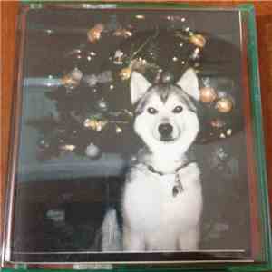 Nouns - Still Bummed mp3 album