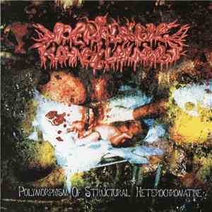 Perialnыe Kondilomы - Polymorphism Of Structural Heterochromatine mp3 album