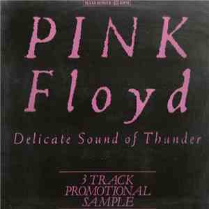 Pink Floyd - Delicate Sound Of Thunder (3 Track Promotional Sample) mp3 album