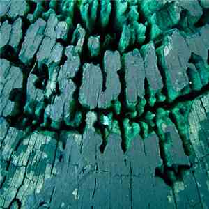 Pummeler / The North Sea - Pachacuti / In Your Teeth mp3 album