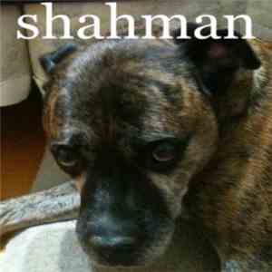 Shahman - Shahman mp3 album