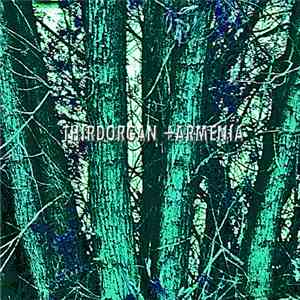 Thirdorgan + Armenia - Split + Collaboration mp3 album
