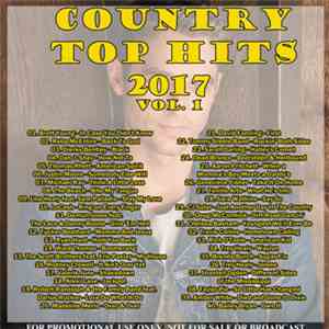 Various - Country Top Hits 2017 Vol.1 mp3 album