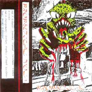 Various - Prophetical Compilation Vol.1 mp3 album