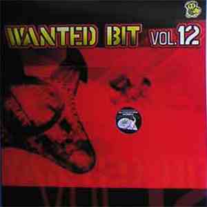 Various - Wanted Bit Vol. 12 mp3 album