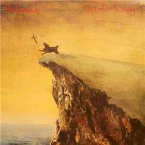 Verlaines - Bird-Dog mp3 album