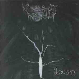 Woods Of Infinity - Ljuset mp3 album