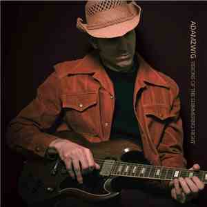 Adam Zwig - Visions Of The Shimmering Night mp3 album