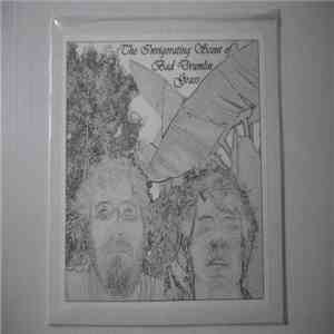 Bad Drumlin Grass - The Invigorating Scent Of Bad Drumlin Grass mp3 album
