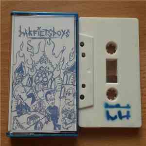 Bakfietsboys - De Hele Flikkerse Bende mp3 album