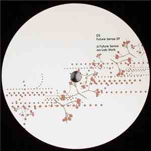 D5 - Future Sense EP mp3 album