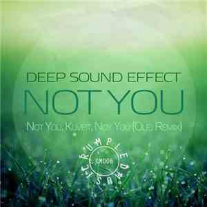 Deep Sound Effect - Not You mp3 album
