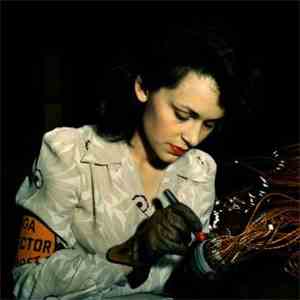 Detective Instinct - Black Floral mp3 album