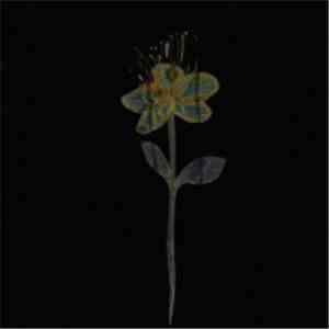 DIMLIM - 記憶、紺碧の微笑み‬ mp3 album