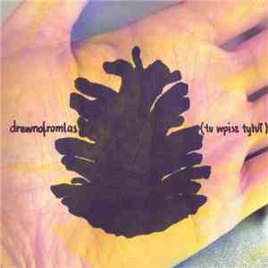 drewnofromlas - (Tu Wpisz Tytuł) mp3 album