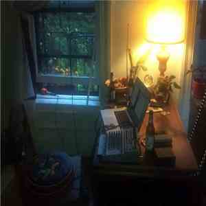 No Artist - Frankenstorm mp3 album