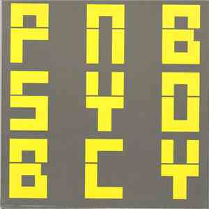 PSB - NYC Boy mp3 album