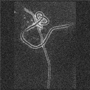 S4TVR4TI0N - Last Hope Of Decadent Mankind mp3 album