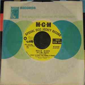 Sticks 'N Stones And Strings 'N Things - Hello Blues (It's Me Again) mp3 album