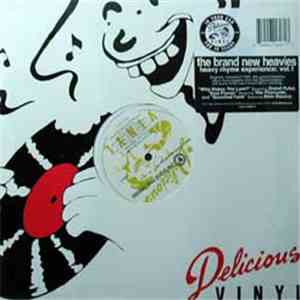 The Brand New Heavies - Heavy Rhyme Experience: Vol. 1 mp3 album