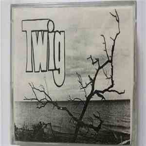 Twig  - Alphabet Soup mp3 album