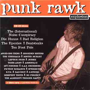 Various - Punk Rawk Explosion #16 mp3 album