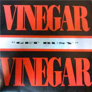 Vinegar - Get Busy mp3 album