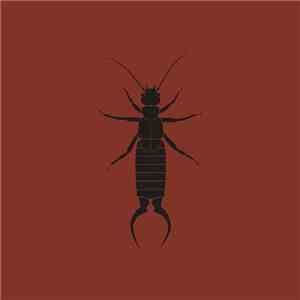Yakh - The Earwig EP mp3 album