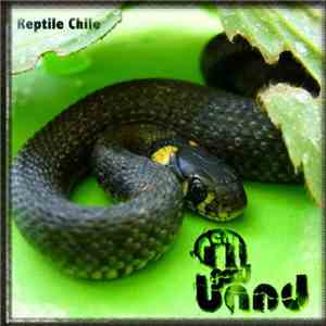 A Real Good Band - Reptile Chile mp3 album