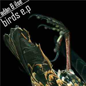 Adan & Ilse - Birds E.P mp3 album