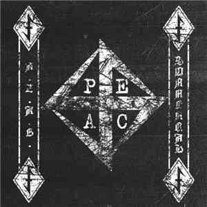 A.Z.A.B. / Sonnenrad  - Renegade Blood Insurgence mp3 album