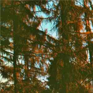 Docetism - Roots mp3 album