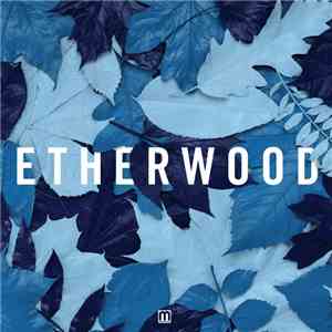 Etherwood - Blue Leaves mp3 album