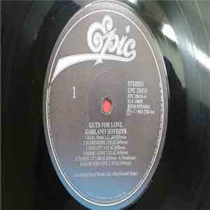 Garland Jeffreys - Guts For Love mp3 album
