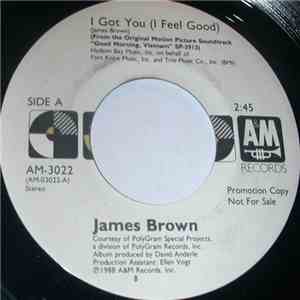 James Brown - I Got You (I Feel Good) mp3 album