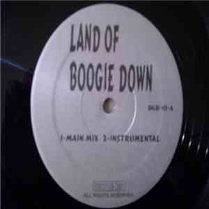 KRS-One - Land Of Boogie Down / Satisfaction mp3 album