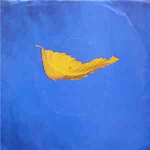 New Order - True Faith mp3 album