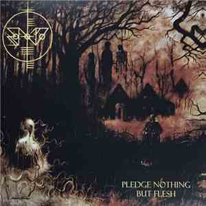 Scáth Na Déithe - Pledge Nothing But Flesh mp3 album