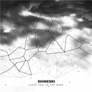 Shineski - Leave You In The Dark mp3 album