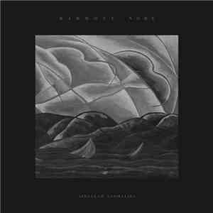 Singular Anomalies - Harmony Node mp3 album