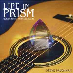 Steve Baughman  - Life In Prism mp3 album