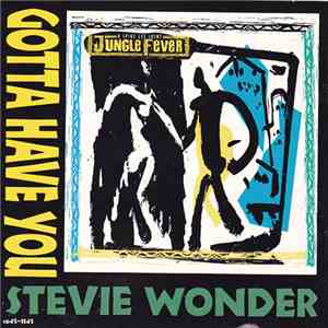 Stevie Wonder - Gotta Have You mp3 album