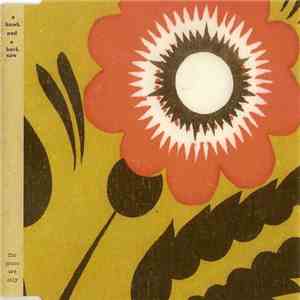A Hawk And A Hacksaw - A Hawk And A Hacksaw mp3 album
