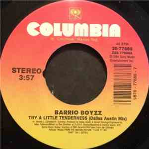 Barrio Boyzz - Try A Little Tenderness mp3 album