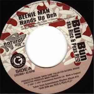 Beenie Man / Peppa - Hands Up Deh / Hot Girl mp3 album
