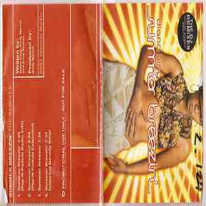 Diana King - Summer Breezin' (The DJ Remixes) mp3 album