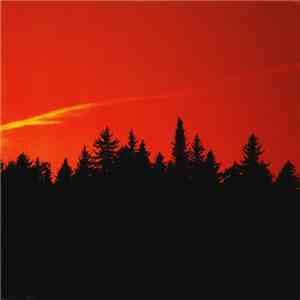 Empty Flowers - Five mp3 album