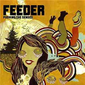 Feeder - Pushing The Senses mp3 album