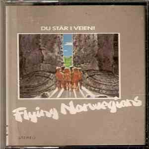 Flying Norwegians - Du Står I Veien mp3 album